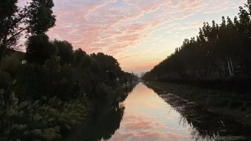 商标注册代理机构排名前十名